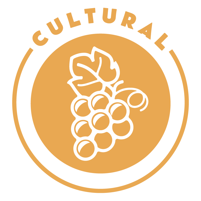 Cultural lens icon
