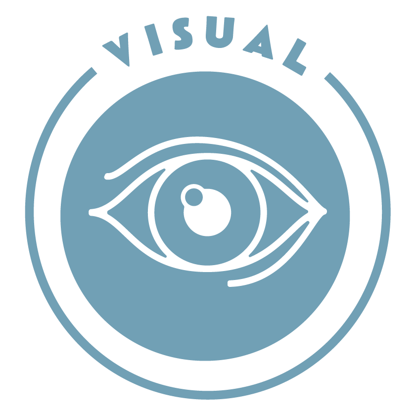 Visual lens icon